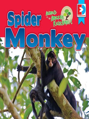 cover image of Animals of the Amazon Rainforest: Spider Monkey